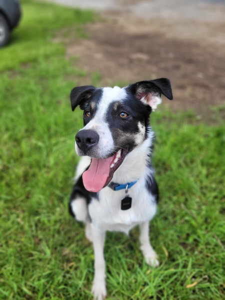 Entry image for Remi. Clicking this image will show a larger photo