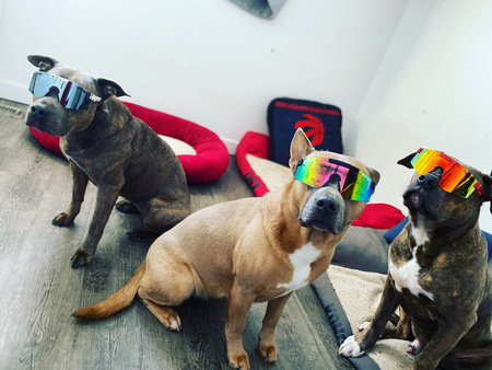 Entry image for Kali , Cleo , Hades . Clicking this image will show a larger photo