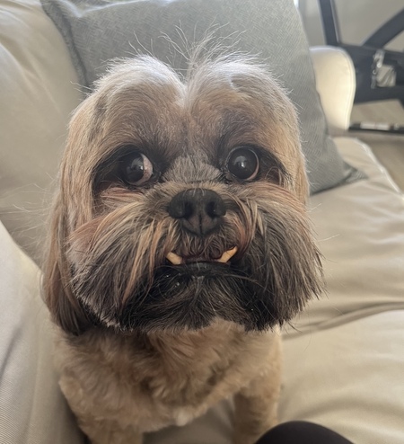 Entry image for Jackson. Clicking this image will show a larger photo