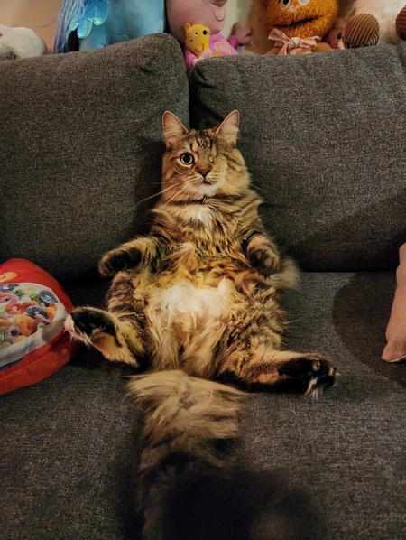 Entry image for Daiquiri . Clicking this image will show a larger photo