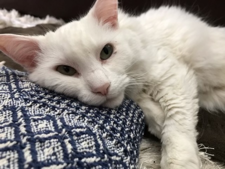 Entry image for April. Clicking this image will show a larger photo