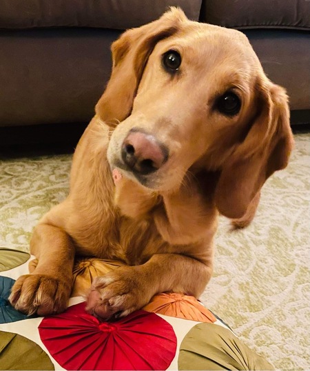 Entry image for Nora. Clicking this image will show a larger photo