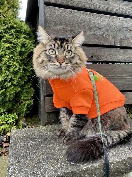 Entry image for Ngaire. Clicking this image will show a larger photo