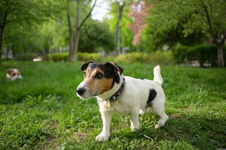 Entry image for Marty McFly. Clicking this image will show a larger photo