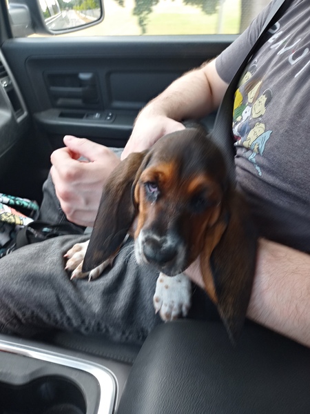 Entry image for Maggie. Clicking this image will show a larger photo