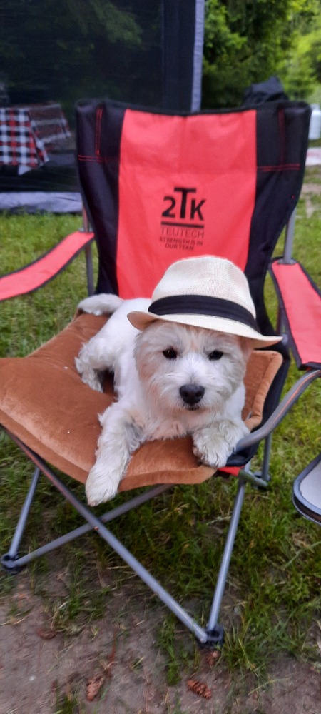 Entry image for OBAN. Clicking this image will show a larger photo