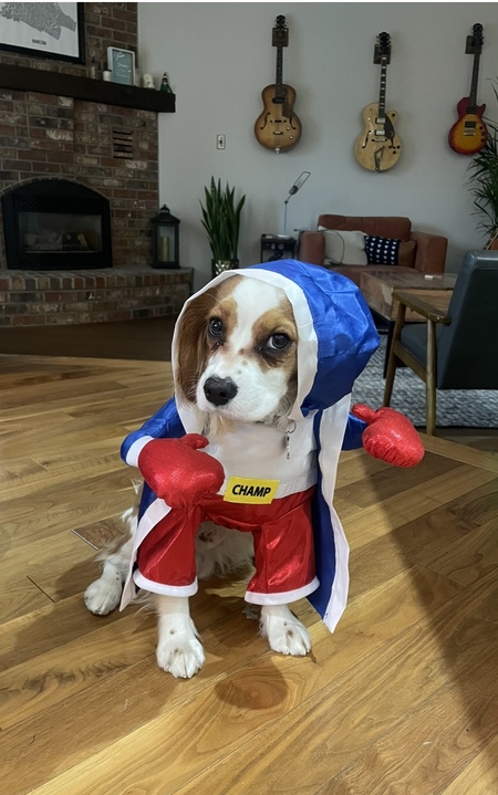 Entry image for Kip . Clicking this image will show a larger photo