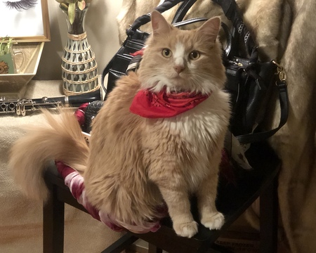 Entry image for Carmela. Clicking this image will show a larger photo