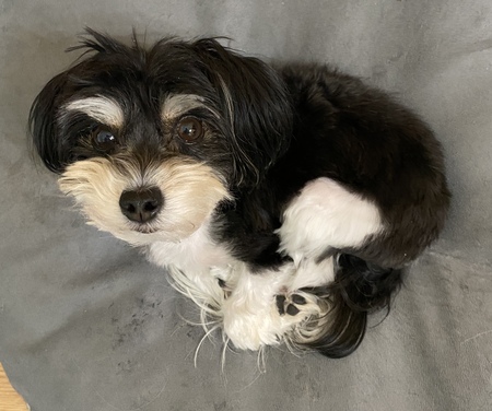 Entry image for Gina. Clicking this image will show a larger photo