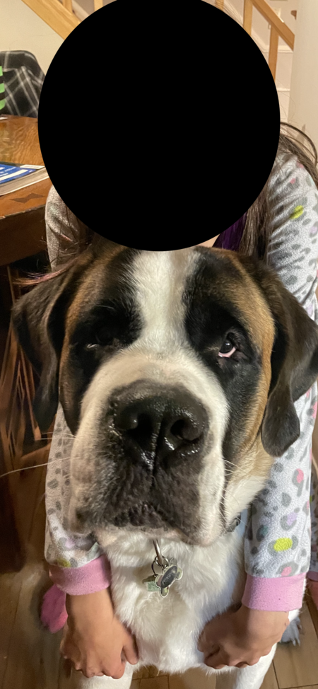 Entry image for Fenway. Clicking this image will show a larger photo