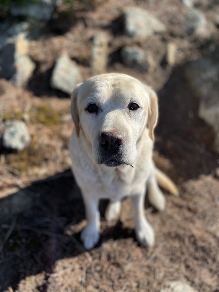 Entry image for Claire Barron. Clicking this image will show a larger photo