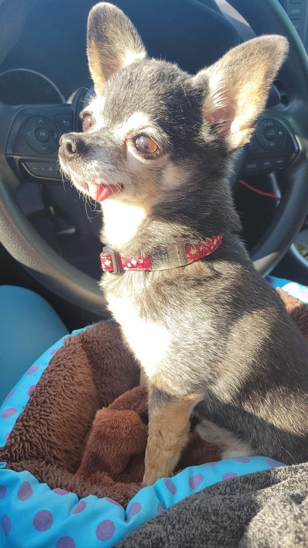 Entry image for Sydney. Clicking this image will show a larger photo