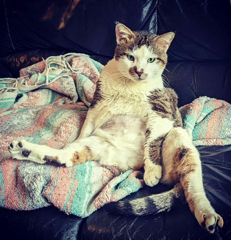 Entry image for Stash. Clicking this image will show a larger photo