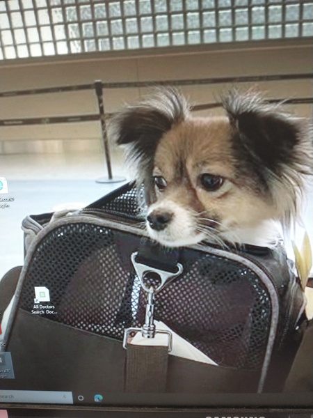 Entry image for River. Clicking this image will show a larger photo