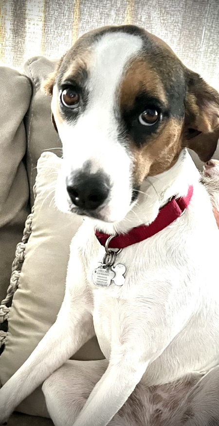 Entry image for Libby. Clicking this image will show a larger photo