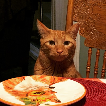 Entry image for Timone. Clicking this image will show a larger photo