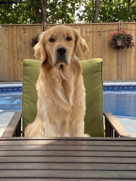 Entry image for Windsor. Clicking this image will show a larger photo