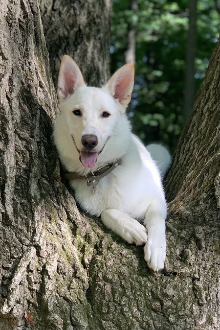 Entry image for Carl. Clicking this image will show a larger photo