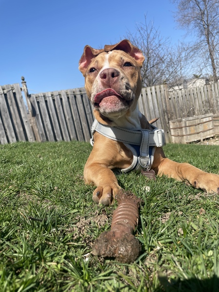 Entry image for Blue. Clicking this image will show a larger photo