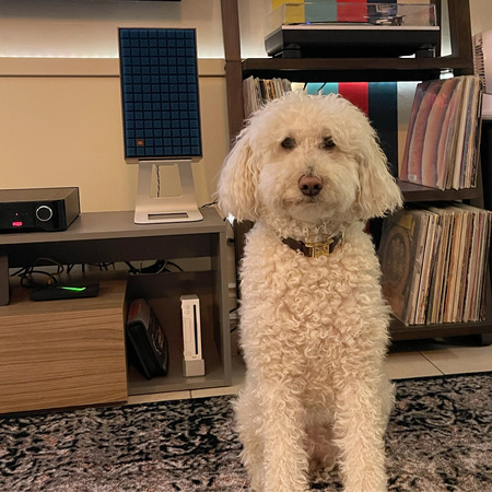 Entry image for NOLA. Clicking this image will show a larger photo