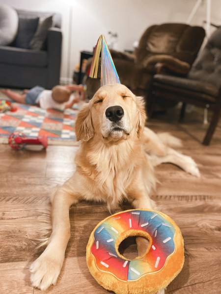 Entry image for Kelvin. Clicking this image will show a larger photo