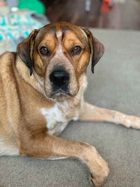 Entry image for Tyler. Clicking this image will show a larger photo