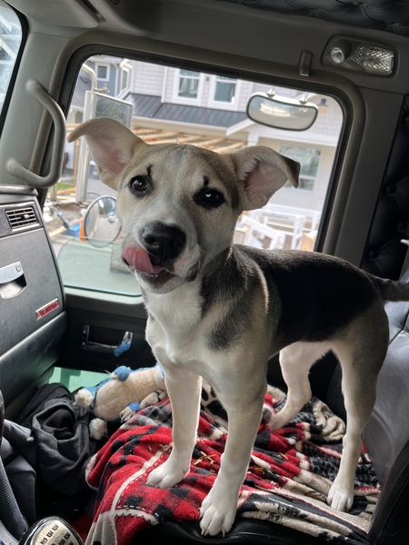 Entry image for Lainey. Clicking this image will show a larger photo