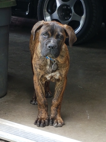 Entry image for Warren. Clicking this image will show a larger photo