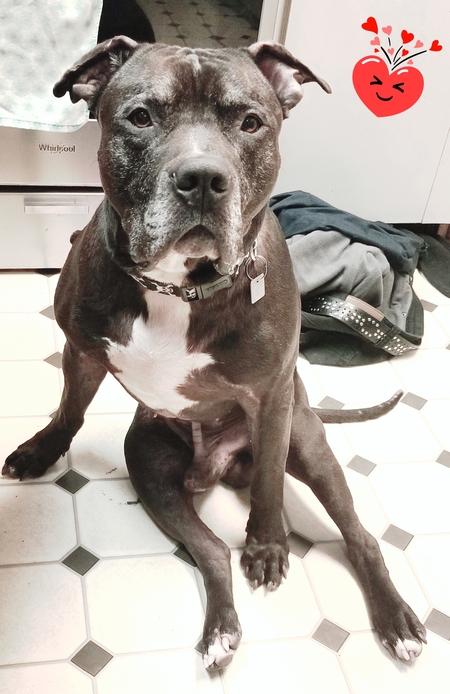 Entry image for Gary. Clicking this image will show a larger photo