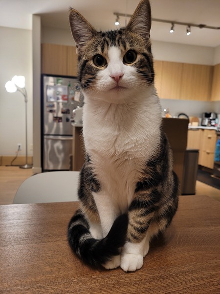 Entry image for Swirl. Clicking this image will show a larger photo