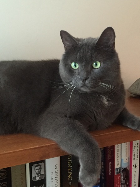 Entry image for Charlie. Clicking this image will show a larger photo