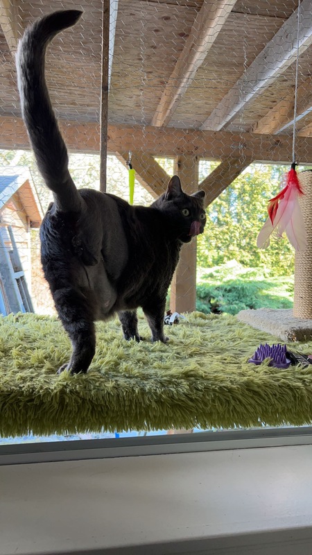 Entry image for Dude . Clicking this image will show a larger photo