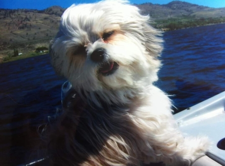 Entry image for Miss Tucker. Clicking this image will show a larger photo