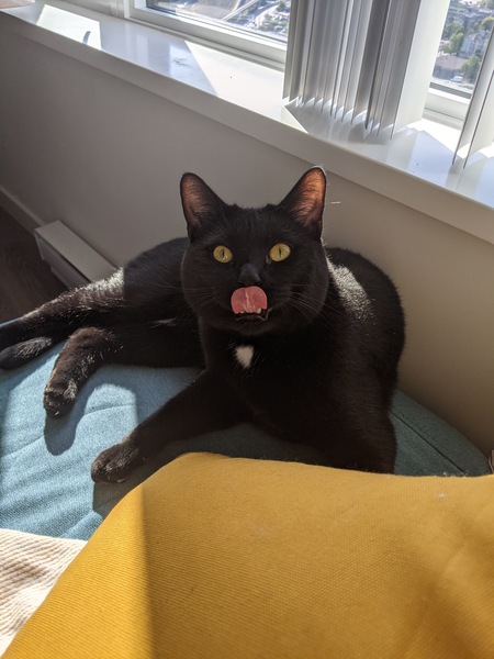 Entry image for Perseus. Clicking this image will show a larger photo