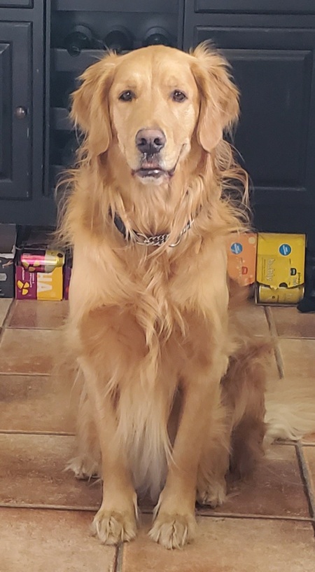 Entry image for StanLee. Clicking this image will show a larger photo