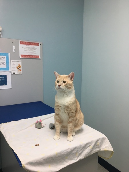 Entry image for Tucker Emmanuel . Clicking this image will show a larger photo