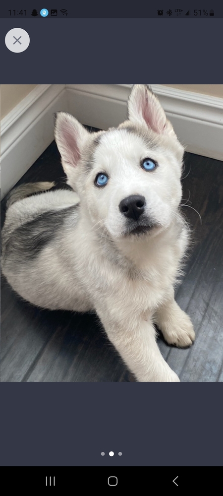 Entry image for Sky. Clicking this image will show a larger photo