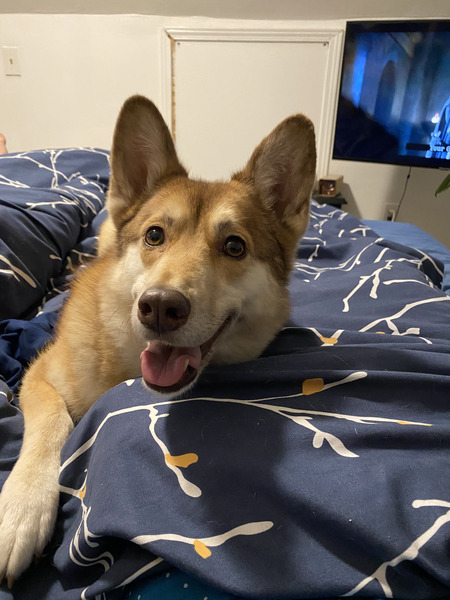 Entry image for Honey. Clicking this image will show a larger photo