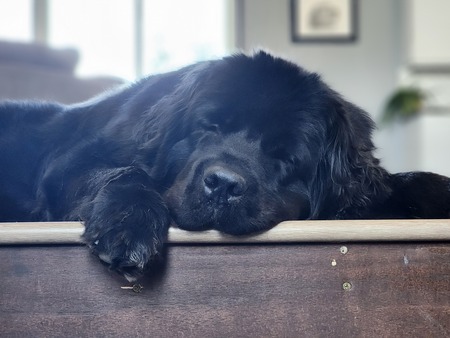 Entry image for SAIL. Clicking this image will show a larger photo