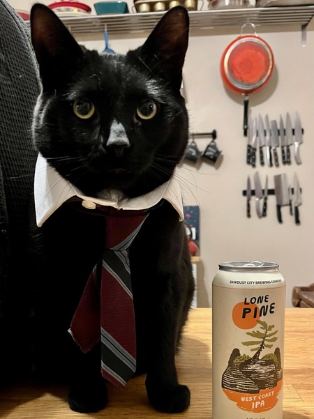 Entry image for J. Moishe Burnside . Clicking this image will show a larger photo