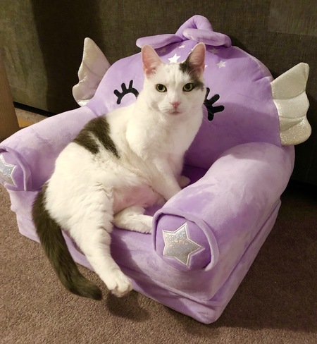 Entry image for Jem. Clicking this image will show a larger photo