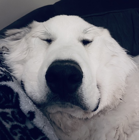 Entry image for Ginny. Clicking this image will show a larger photo