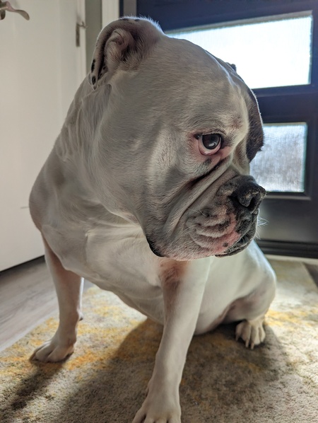 Entry image for Rukgus. Clicking this image will show a larger photo