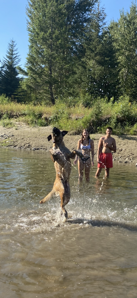 Entry image for Athena . Clicking this image will show a larger photo