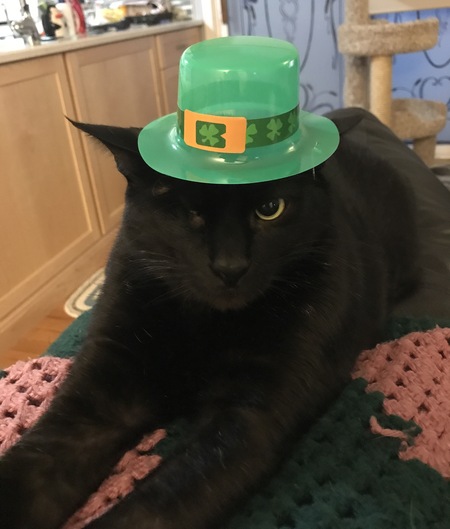 Entry image for Floyd. Clicking this image will show a larger photo