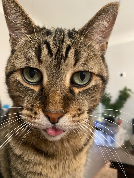 Entry image for Quinnlen. Clicking this image will show a larger photo