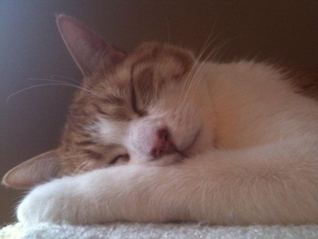 Entry image for Jericho. Clicking this image will show a larger photo