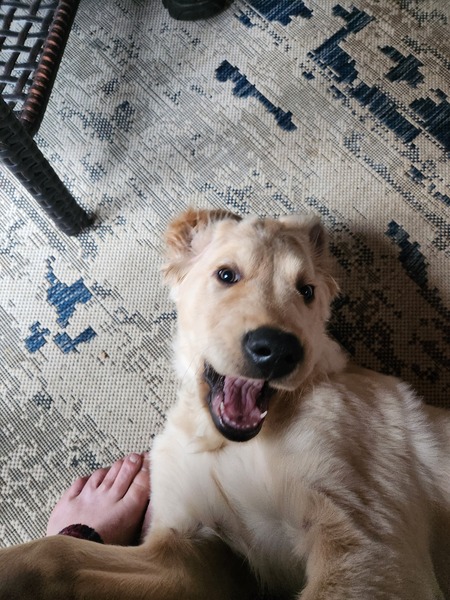 Entry image for Jari. Clicking this image will show a larger photo