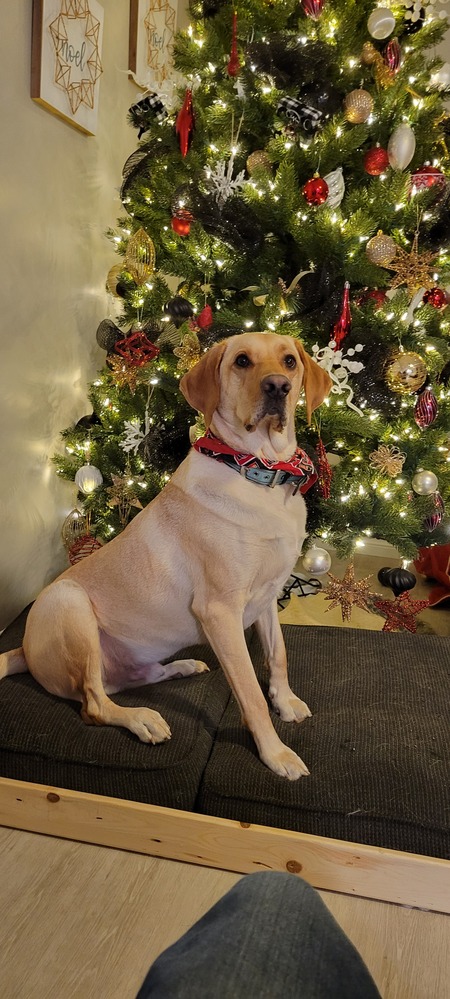 Entry image for Jake . Clicking this image will show a larger photo