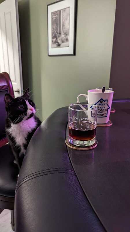 Entry image for Gizmo. Clicking this image will show a larger photo